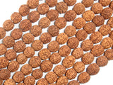Rudraksha Beads, 7.5mm-8mm Round Beads-BeadXpert