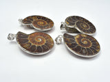 Ammonite Pendant, Fossil Pendant, with Silver Tone Base Metal Bail 1 piece