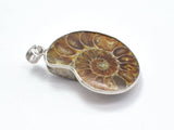 Ammonite Pendant, Fossil Pendant, with Silver Tone Base Metal Bail 1 piece