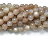 Gray Moonstone, 10mm Round Beads-Gems: Round & Faceted-BeadXpert