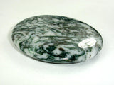 Tree Agate Pendant, Coin Beads, 50mm-Gems: Round & Faceted-BeadXpert