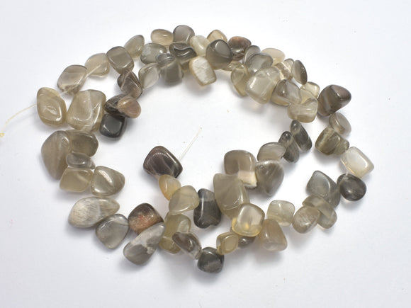 Gray Moonstone, (8-10)x(9-16)mm Free Form Beads-BeadXpert