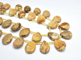 Picture Jasper, 13x18mm Twisted Flat Teardrop Beads-BeadXpert