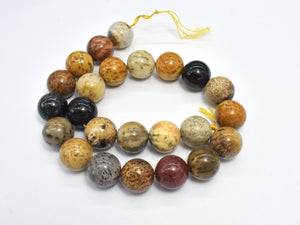 Petrified Wood Jasper, 16mm Round Beads-BeadXpert