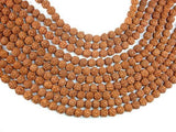 Rudraksha Beads, 9.5mm-10.5mm Round Beads-Wood-BeadXpert