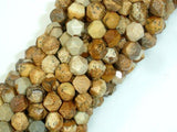 Picture Jasper Beads, 8mm Star Cut Faceted Round Beads-Gems: Round & Faceted-BeadXpert