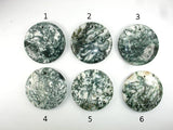 Tree Agate Pendant, Coin Beads, 50mm-Gems: Round & Faceted-BeadXpert