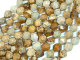 Picture Jasper Beads, 8mm Star Cut Faceted Round Beads-Gems: Round & Faceted-BeadXpert