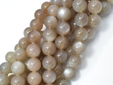 Gray Moonstone, 10mm Round Beads-Gems: Round & Faceted-BeadXpert