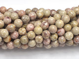 Fossil Jasper Beads, 8mm Round Beads-BeadXpert