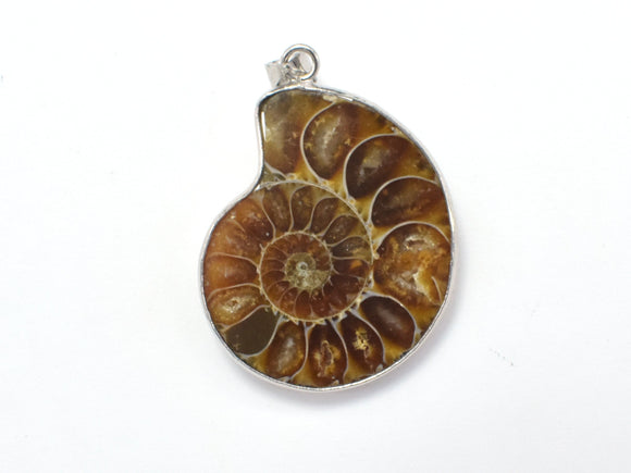 Ammonite Pendant, Fossil Pendant, with Silver Tone Base Metal Bail 1 piece-BeadXpert
