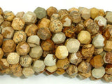 Picture Jasper Beads, 8mm Star Cut Faceted Round Beads-Gems: Round & Faceted-BeadXpert
