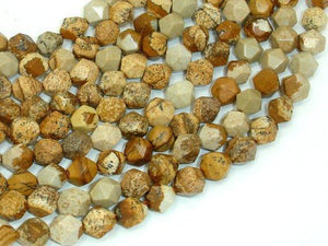 Picture Jasper Beads, 8mm Star Cut Faceted Round Beads-Gems: Round & Faceted-BeadXpert