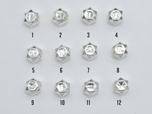 1pc 925 Sterling Silver Astrology Sign Beads, 7.8mm, Hexagon Beads, Zodiac Sign Beads, Big Hole 2.8mm-BeadXpert