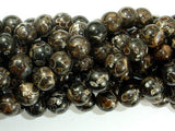 Turritella Agate, Elimia, 10mm Round Beads, 16 Inch-Gems: Round & Faceted-BeadXpert