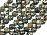 Turritella Agate, Elimia, 10mm Round Beads, 16 Inch-Gems: Round & Faceted-BeadXpert