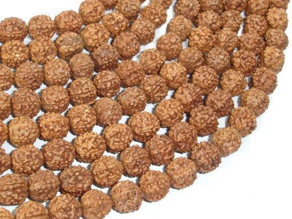 Rudraksha Beads, 9mm-9.5mm Round Beads-Wood-BeadXpert