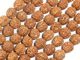 Rudraksha Beads, 9mm-9.5mm Round Beads-Wood-BeadXpert