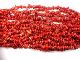 Red Bamboo Coral, 4mm-9 mm Chips Beads-Gems: Nugget,Chips,Drop-BeadXpert