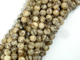 Feldspath Beads, Tiger Jasper Beads, 6mm-Gems: Round & Faceted-BeadXpert