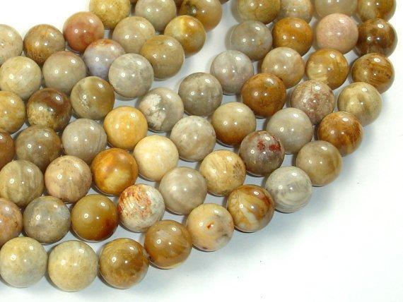 Fossil Coral Beads, 10mm, Round Beads-Gems: Round & Faceted-BeadXpert