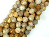 Fossil Coral Beads, 10mm, Round Beads-Gems: Round & Faceted-BeadXpert