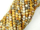 Crazy Lace Agate Beads, 4mm Faceted Round-Gems: Round & Faceted-BeadXpert