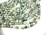 Tree Agate Beads, Round, 8mm-Gems: Round & Faceted-BeadXpert