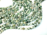 Tree Agate Beads, Round, 8mm-Gems: Round & Faceted-BeadXpert
