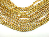 Fossil Coral Beads, 8mm Round Beads-Gems: Round & Faceted-BeadXpert