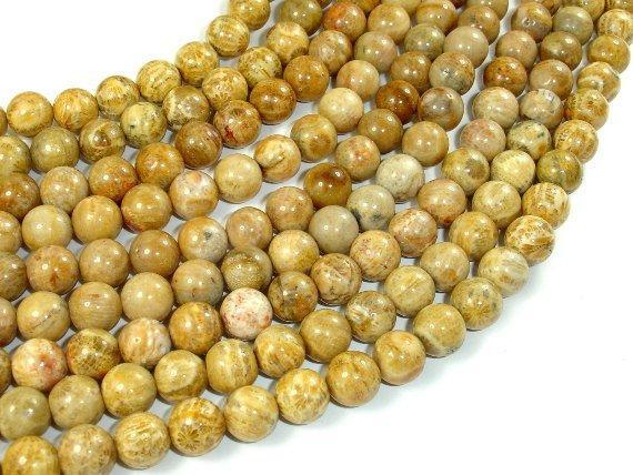 Fossil Coral Beads, 8mm Round Beads-Gems: Round & Faceted-BeadXpert