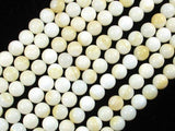 Tridacna Shell, 8mm Round Beads-Gems: Round & Faceted-BeadXpert