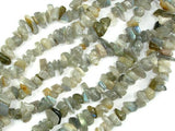 Labradorite Beads, 4mm - 9mm Chips Beads-Gems: Nugget,Chips,Drop-BeadXpert