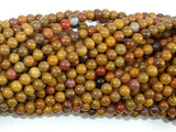 Rainbow Petrified Wood Jasper, 4mm Round Beads-Gems: Round & Faceted-BeadXpert
